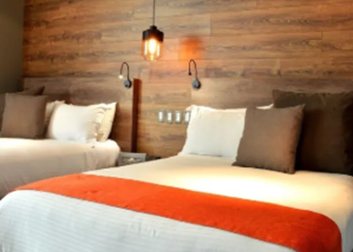 Hotel Park Nilo Reforma 4*